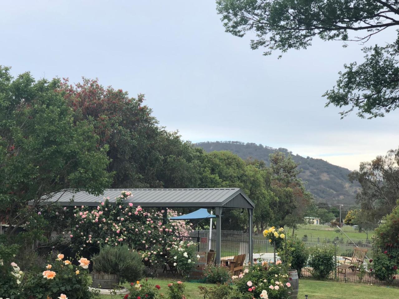 Valley View Motel Murrurundi Esterno foto